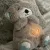 Calming Soothe and Snuggle Baby Bear (Random Color)