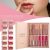 12 Colors HANDAIYAN Matte Liquid Lipstick Set