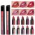 Ks ONE 5-in-1 Lipstick  | Five Shades In One| Long Lasting, Matte Finish